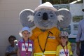 Smokey the Koala with Kids
